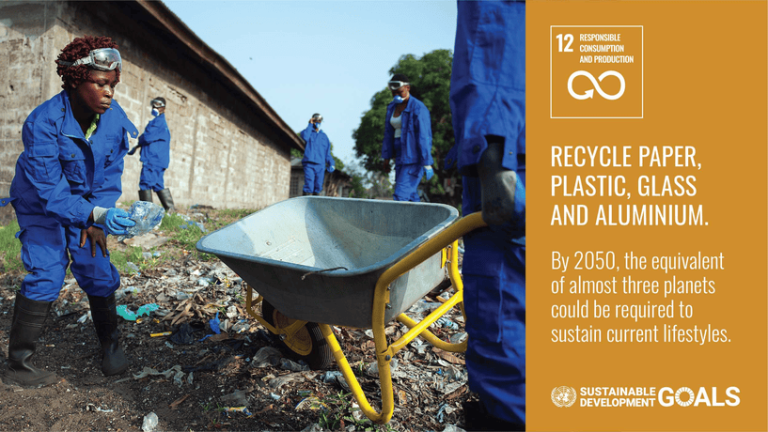 SDG 12 - Responsible Consumption and Production - SDG Edu